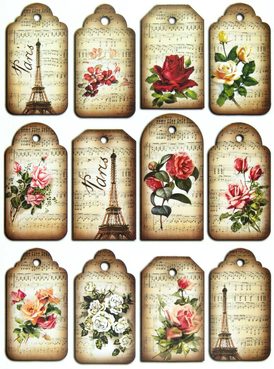 Разновидности и сферы применения